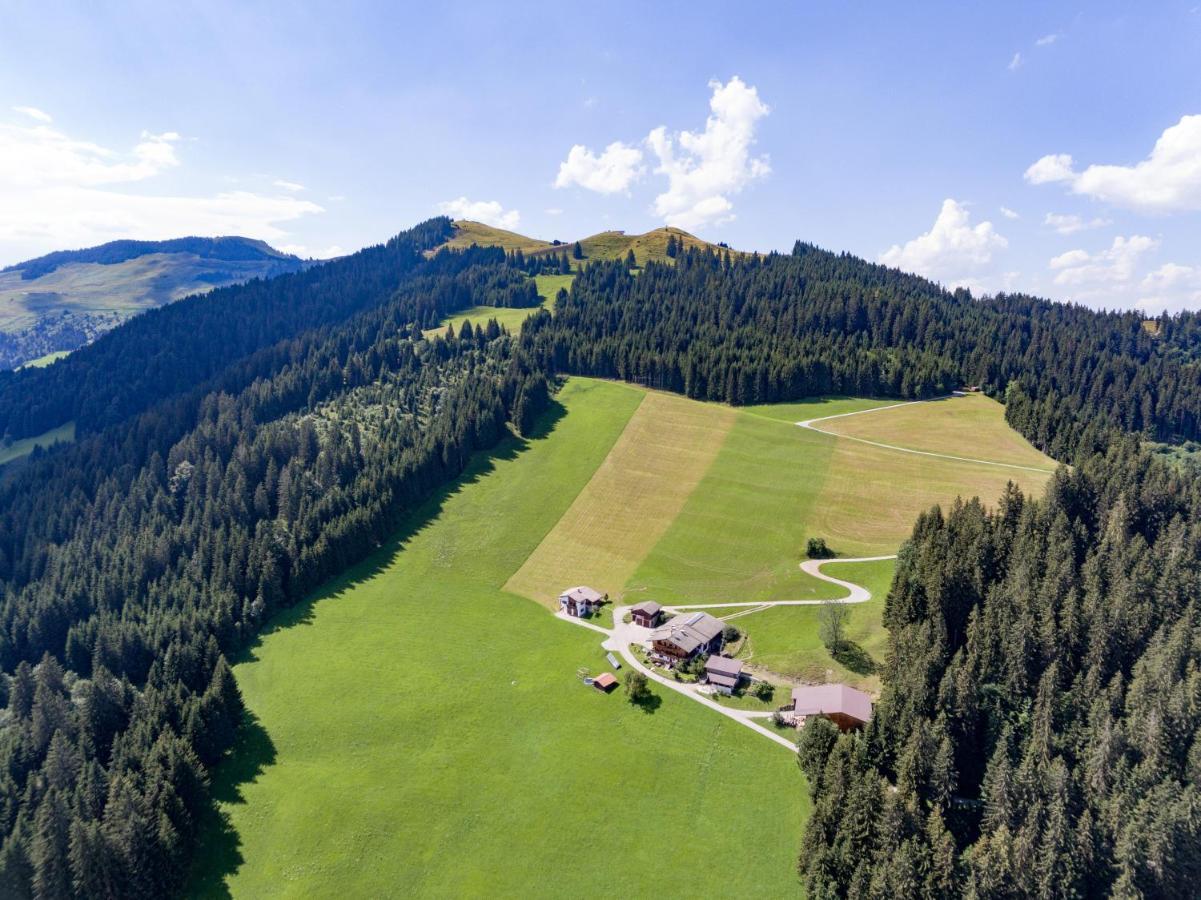 Biobauernhof Fleckl Villa Hopfgarten im Brixental Exteriör bild